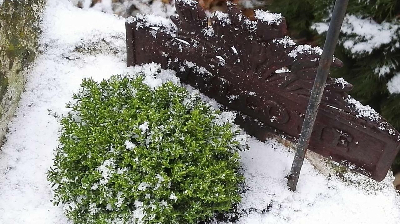Nyirjes Vendégház Balassagyarmat Exterior foto